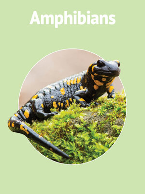 cover image of Amphibians